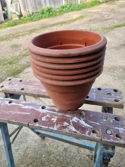 Photo of free 6 identical plastic pots (EN11 rye house area) #1