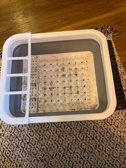 Photo of free Collapsing dish drying rack (L19) #1