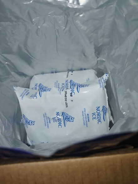 Photo of free Ice packs (Leonardo/Middletown) #1