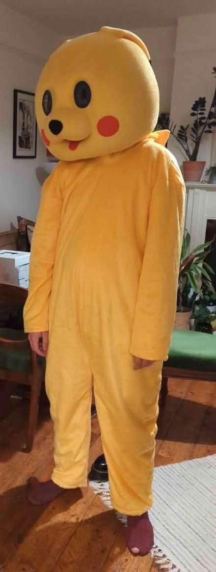 Photo of free Homemade Pikachu costume mens M (St Andrews, BS6) #2