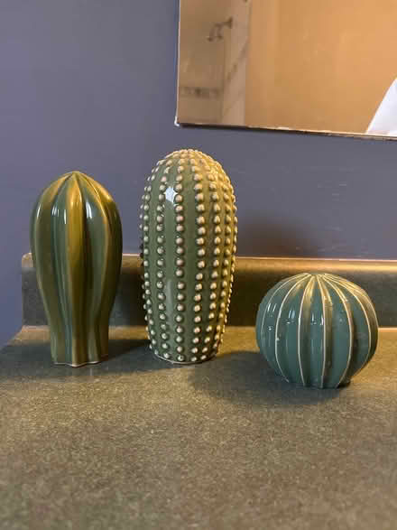 Photo of free Cacti decor (Markham) #2
