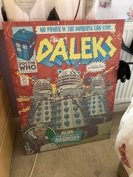 Photo of free Dalek canvas (North Tonbridge TN10) #1