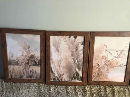 Photo of free Pictures in frames (BA2) #1