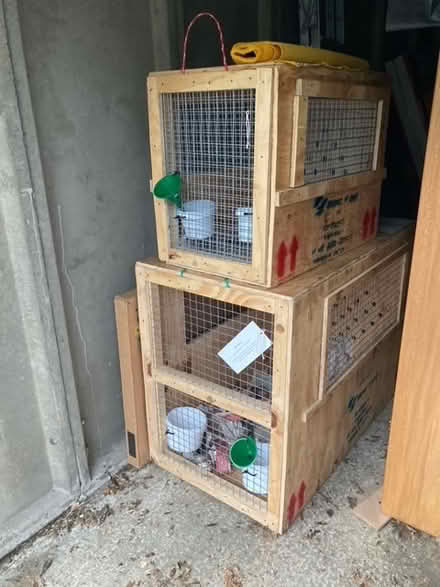 Photo of free Pet travel containers (Teddington) #2