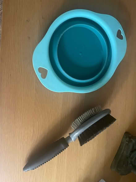 Photo of free Collapsible dog bowl and brush (Anerley) #1