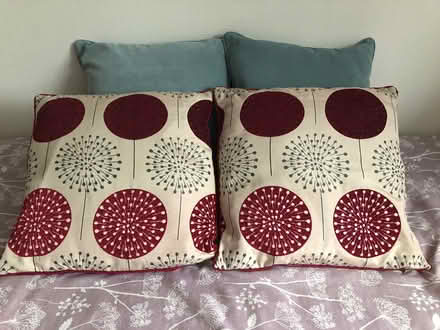 Photo of free Cushions (Cowplain) #1