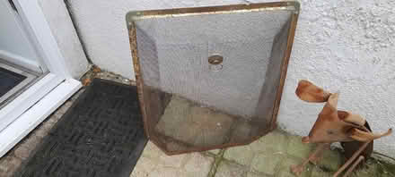 Photo of free Fire guard (Wallington PO16) #1