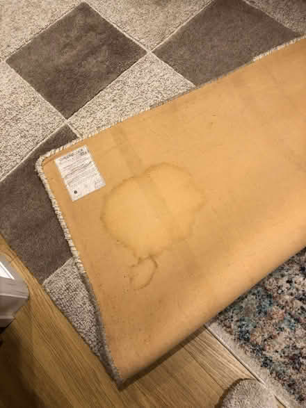 Photo of free Wool rug (Ripley Derbyshire DE5) #3