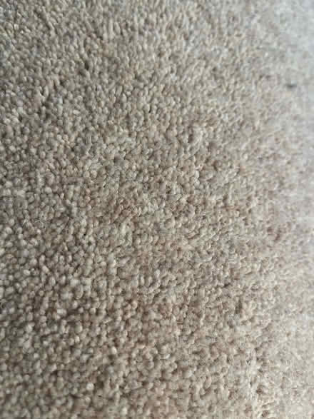 Photo of free New carpet offcuts (Middle Barton OX7) #2