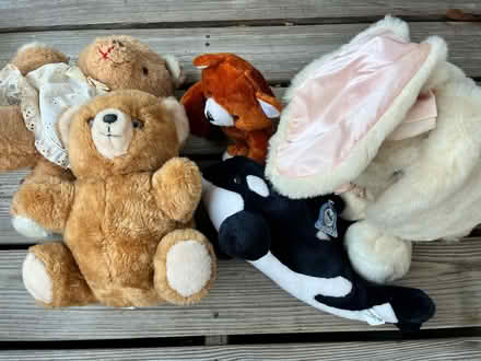 Photo of free Stuffies (Mohegan lake) #1