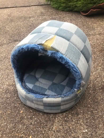 Photo of free Cat bed (A) (Pound Hill RH10) #1