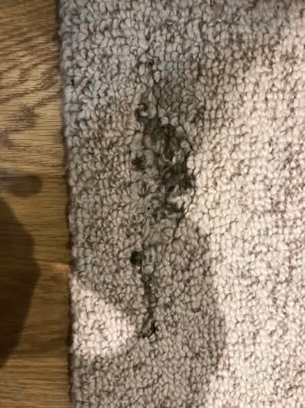 Photo of free Wool rug (Ripley Derbyshire DE5) #4