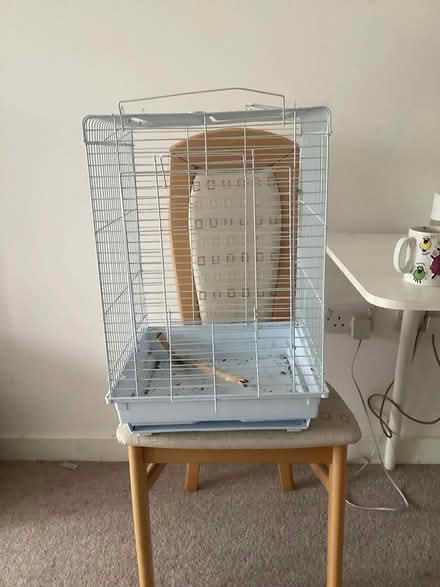 Photo of free Birdcage and paint (Leamington spa CV31) #1