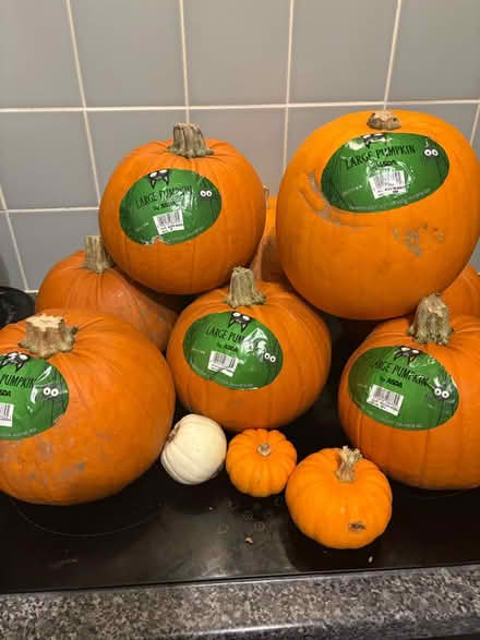 Photo of free Fresh pumpkins (London Fields, E8) #1