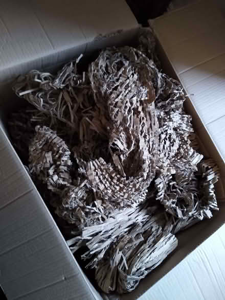 Photo of free Large box of shredded cardboard packing (Kidwelly SA17) #1