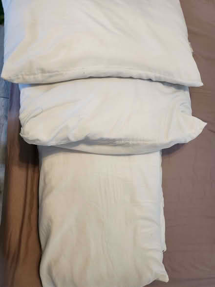 Photo of free 4 pillows (Chatham ME4) #2