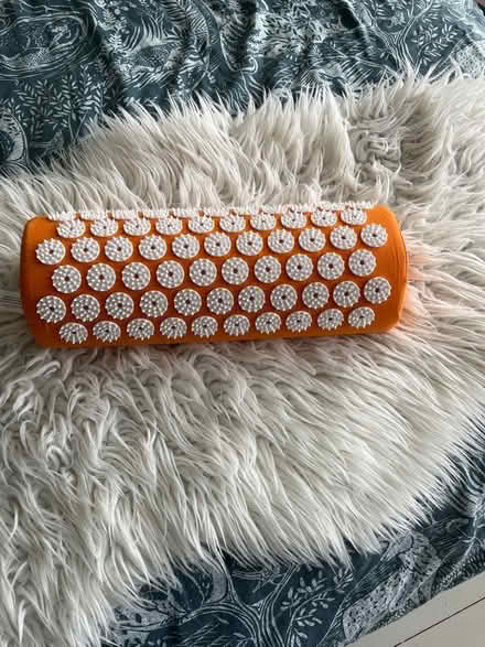 Photo of free Aucpuncture pillow (Wadsley S6) #1