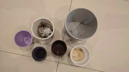 Photo of free Plant pots x 6 (E15 Stratford/Plaistow) #2