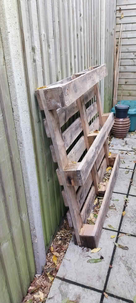Photo of free Wooden pallet (Bedhampton PO9) #1