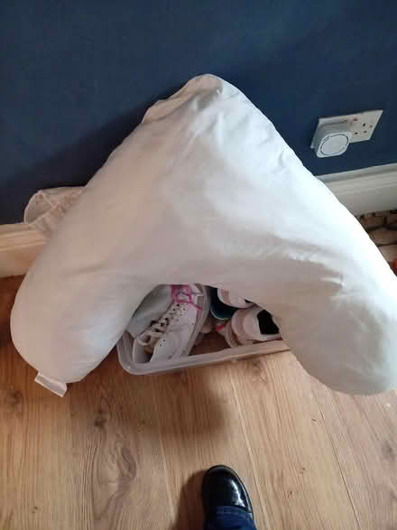 Photo of free V pillow (lemington) #1