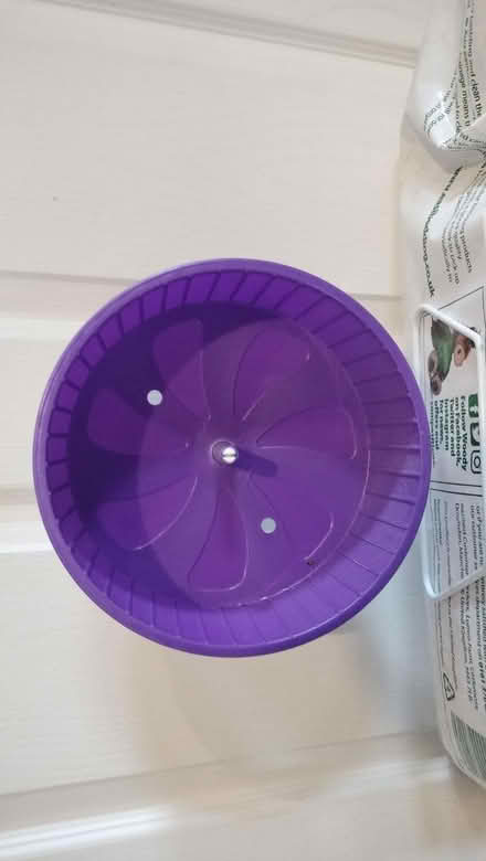 Photo of free Rat bits and bobs (Bilston EH25) #3