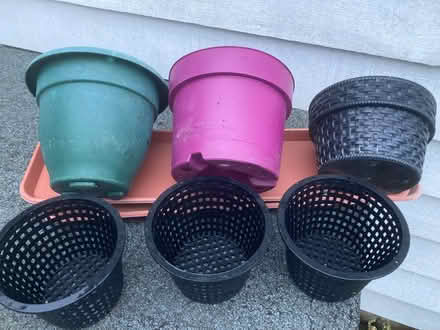 Photo of free Plant trays & pots (Bloomsbury WC1H) #1
