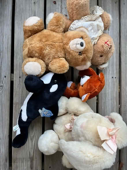 Photo of free Stuffies (Mohegan lake) #2