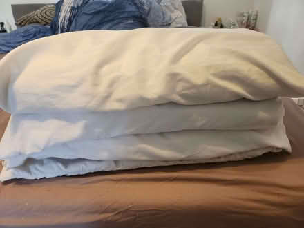 Photo of free 4 pillows (Chatham ME4) #1