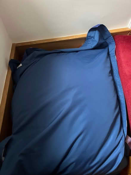 Photo of free beanbag (Elsfield OX3) #3
