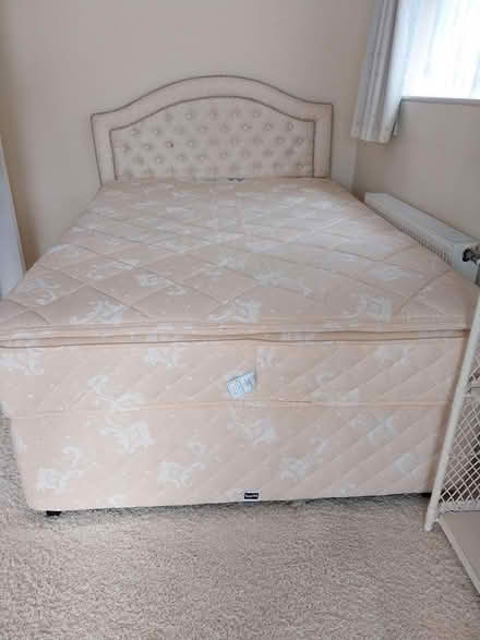 Photo of free Double Divan (tw20 8th) #1