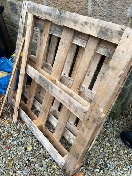 Photo of free Two pallets (Harrogate HG2) #1