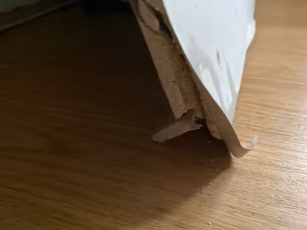 Photo of free Piece of plaster board (Leicester LE3) #2