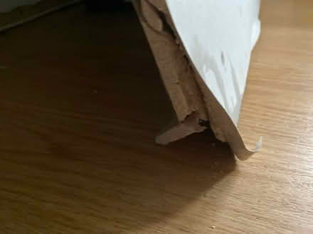 Photo of free Piece of plaster board (Leicester LE3) #2