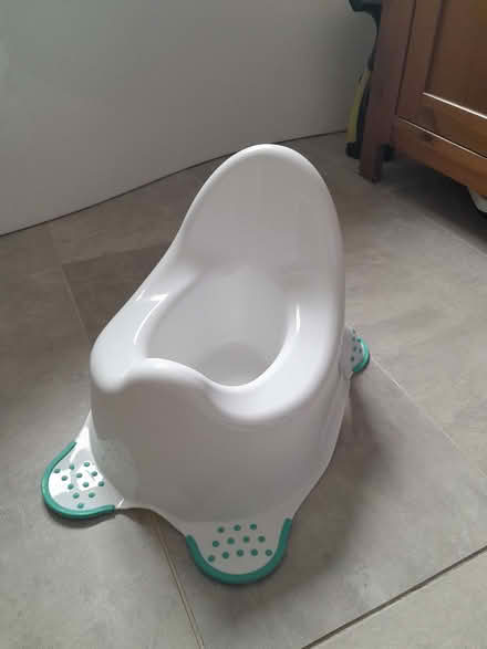 Photo of free Potty and training seat (Harley Shute TN38) #1