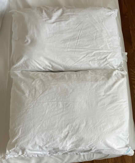 Photo of free Two bed pillows (Bloor Lansdowne) #1