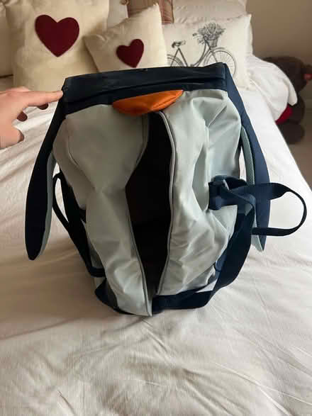 Photo of free Bag (Hawley) #2