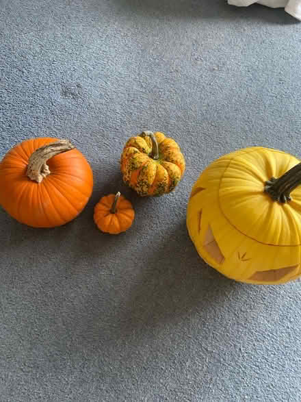 Photo of free Pumpkins (Chingford E4) #2