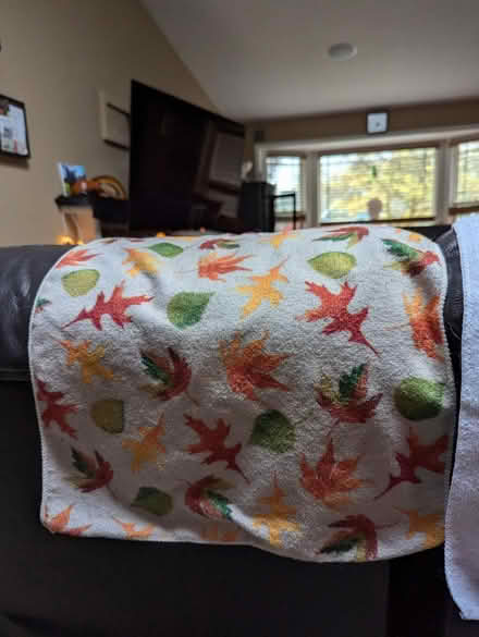 Photo of free Seasonal tea towels (Kent, WA) #3