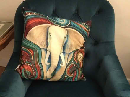 Photo of free Cushion with elephant design (Bishop's Castle town) #1