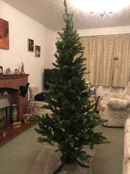 Photo of free Artificial Christmas Tree (Astwood Bank B96 6DA) #1