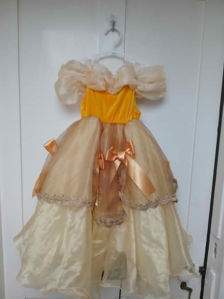 Photo of free Child's Dressing-up Dress (Lark Lane Area L17) #1