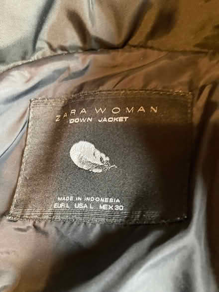 Photo of free Zara black down-filled coat (Walton Manor OX2) #2