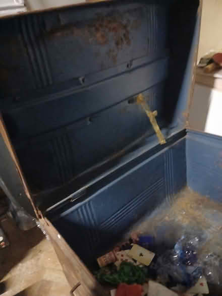 Photo of free METAL trunk (BR6) #2