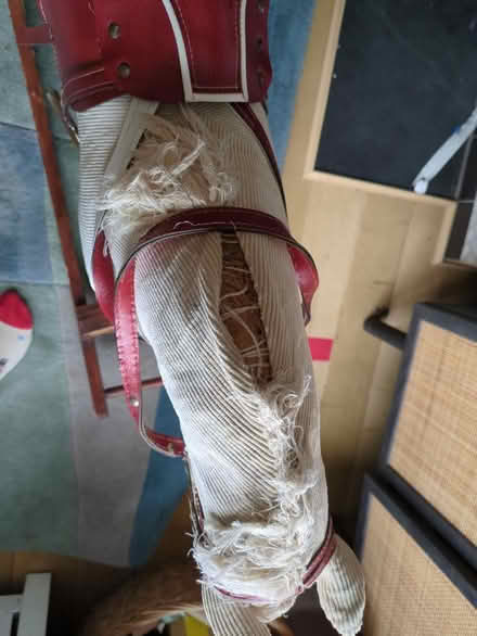 Photo of free Rocking horse (St thomas, exeter) #2