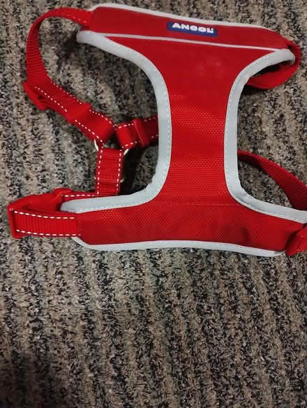 Photo of free Dog harness (Tonwell SG12) #1