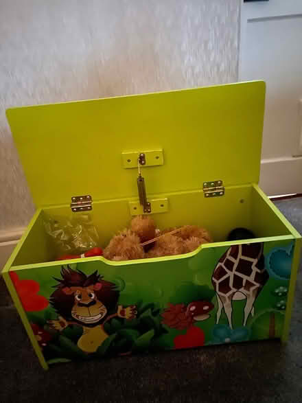 Photo of free Toy box (Birmingham) #2