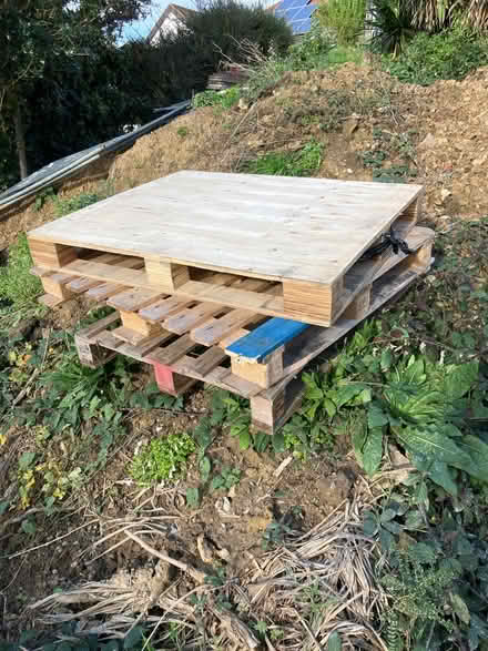 Photo of free Three Pallets (TN38 st Leonard’s) #1