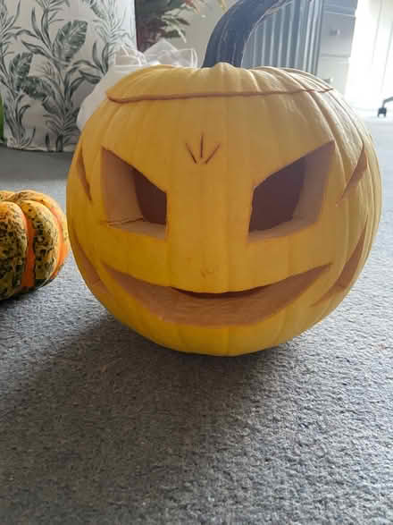 Photo of free Pumpkins (Chingford E4) #3