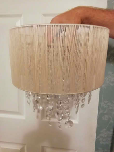 Photo of free Light shade (Chigwell IG7) #1
