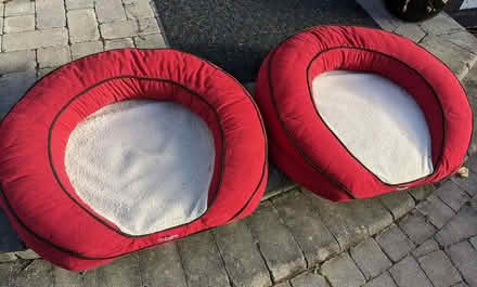 Photo of free Medium Brindle Bolster Dog Beds (2) (Greenbank and Hunt Club) #2